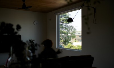 151.Kitamoto House (窓)