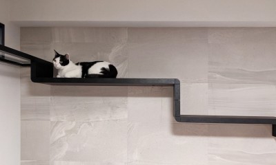 猫の視点を生かした建築：キャットウォークの創造 (リビング)