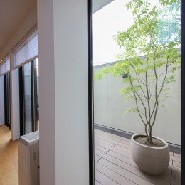 吹き抜けと空中回廊のある家／東京都目黒区 (リビング、ダイニングからの景色をデザインする窓)