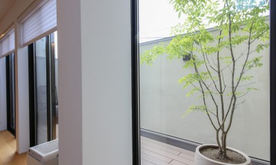 リビング、ダイニングからの景色をデザインする窓｜吹き抜けと空中回廊のある家／東京都目黒区