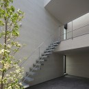 護国寺の家/House in Gokokujiの写真 テラス