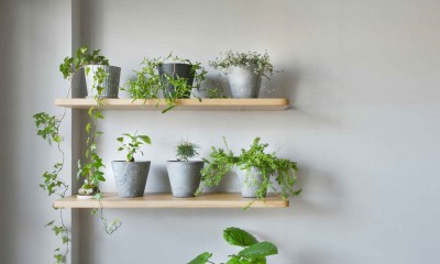 植物を育てるのにも適するインナーバルコニー｜平屋をイメージしたマンションリノベーション