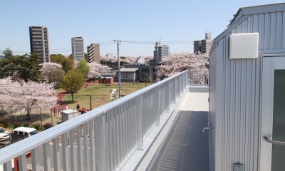 東京都北区王子「桜と中庭の家」屋上から桜を眺めるルーフバルコニー｜桜を眺める、中庭のある３階建ての家