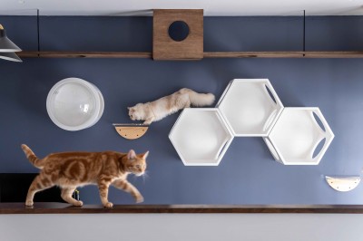 話題の「猫リノベ」アイデア20選！愛猫もうれしい猫仕様の住まい 