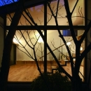 若林Ｍ邸－既存樹木を活かした3つの中庭を配する棲家－の写真 中庭から
