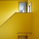 T邸・室内も窓からの緑も・・・色彩溢れる毎日を暮らすの写真 階段