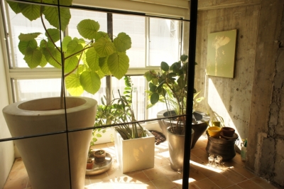 植物と暮らそう ボタニカルインテリアのお部屋事例集 Suvaco スバコ