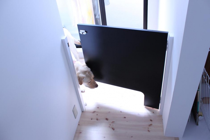 キッチン事例：子世帯キッチン犬用ドア（ネコと犬と暮らす家・二世帯住宅OUCHI-14）