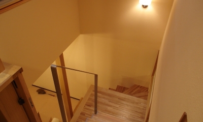 犬と共に暮らす家　　室内に光を届けるリノベーション (階段)