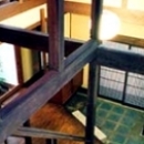 奈良町Ｗ邸の写真 天井