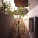 代々木西原の家の写真 植栽（撮影：淺川敏）
