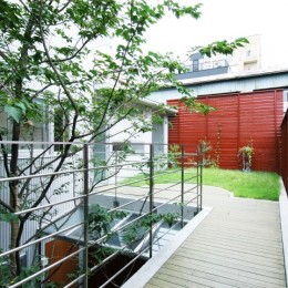 浅草の家―２階にある庭-居間から２階の庭を見る