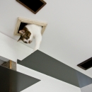 猫と共存する家の写真 ステップ