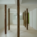 wooden forest apartementの写真 柱を風景として捉える3（撮影：鳥村鋼一）