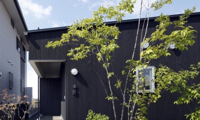 シンプルな平屋の「草津のコートハウス」 (玄関へのアプローチ-外観)