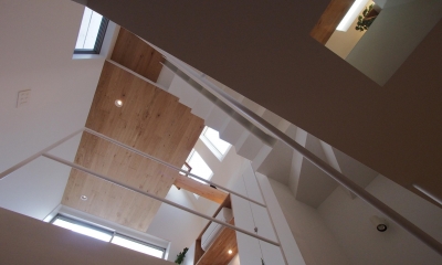 階段　１階からの見上げ｜スキップフロアがつくる快適空間 (白金の家)