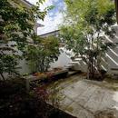 武蔵野の家の写真 中庭
