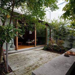 武蔵野の家-中庭