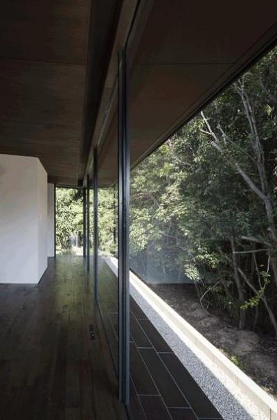ガラス張りのリビング（撮影：Hiroshi Ueda） (木漏れ日の家)