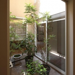 『M邸』４ＬＤＫから２世帯住宅へリノベーション (観葉植物で飾る中庭)