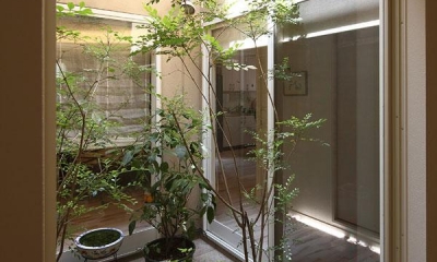 観葉植物で飾る中庭｜『M邸』４ＬＤＫから２世帯住宅へリノベーション