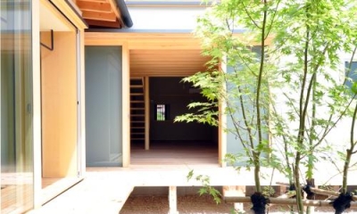 『那加の家』木の香りに満ちた和の住宅 (緑が映える開放的な中庭)
