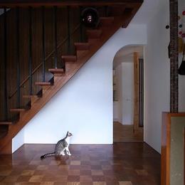 ｍ&c house-階段（撮影：© 東海林 健）