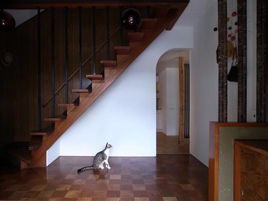 その他事例：階段（撮影：© 東海林 健）（ｍ&c house）