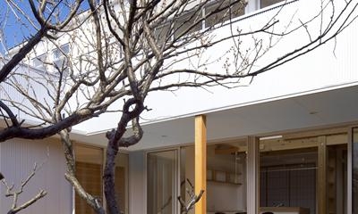 中庭・デッキ｜『公園前の家』明るくて風通しの良い住宅