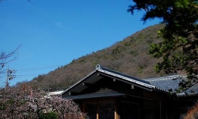 岩田坂の増築 (美しい庭のある家外観-1)