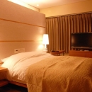 リビングにサンル－ムをの写真 シンプルな寝室