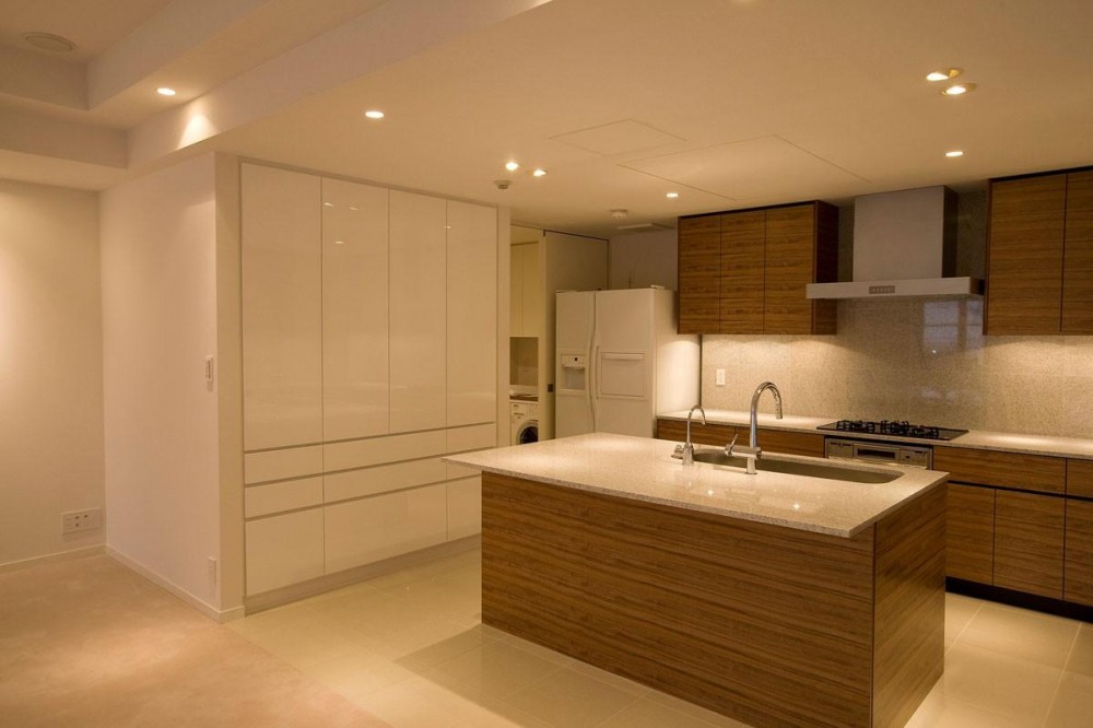 専有面積200m2のビンテージマンションフルリフォーム (動きやすさや収納力を重視したキッチン)