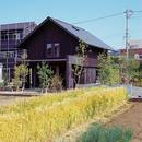 『蒲郡の家』～土間のダイニングキッチンのある家～の写真 麦畑につつまれた家