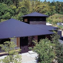 『塩河の家』〜里山の風景と暮らす家〜 (山の風景に似合う屋根のデザイン)