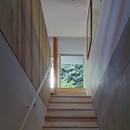 『岳見の家』～雑木林につつまれた住まい～の写真 階段上には庭の植栽が