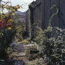 『知多の家』～緑のオアシス～（gallery & dining cafe）の写真 植物がドンドン建築を侵食する様子