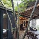 『知多の家』～緑のオアシス～（gallery & dining cafe）の写真 中庭からテラス・ギャラリーへ