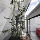 木漏れ日のプールサイドハウス／大阪府吹田市の写真 緑のある前庭・中庭